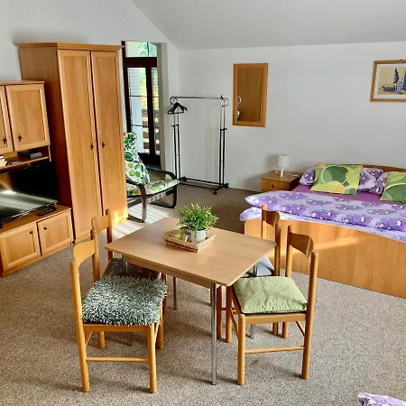 Pension Lenka 1 Harrachov Exterior photo