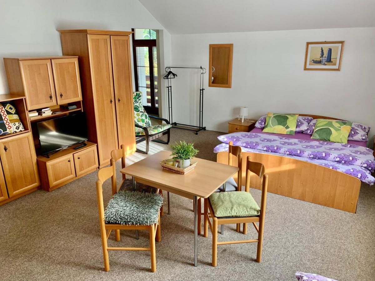 Lenka 1 Guest house Harrachov